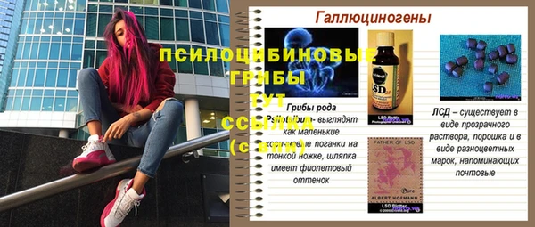герыч Белокуриха