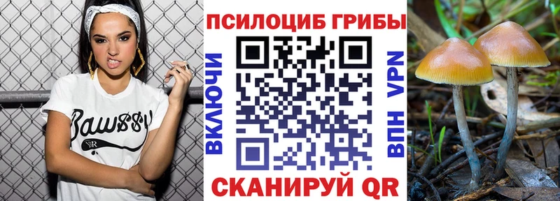 Псилоцибиновые грибы Psilocybe  что такое   KRAKEN tor  нарко площадка официальный сайт  Луховицы 